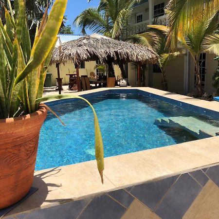 My Own Paradise Resort Bonaire クラレンダイク エクステリア 写真