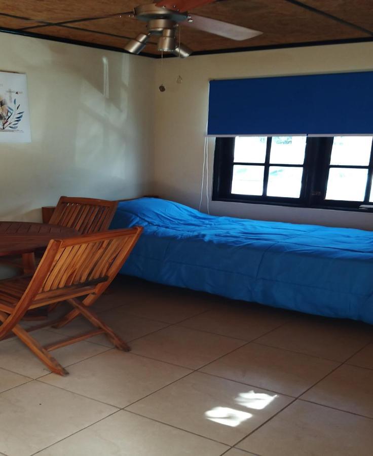 My Own Paradise Resort Bonaire クラレンダイク エクステリア 写真