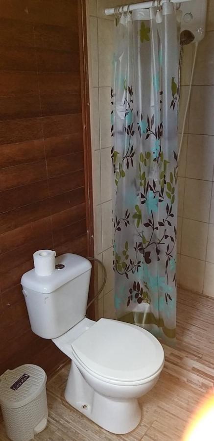 My Own Paradise Resort Bonaire クラレンダイク エクステリア 写真